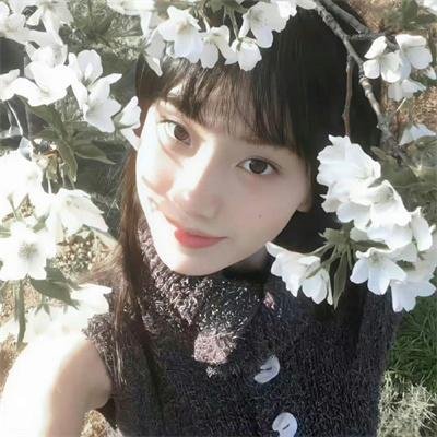不羁骑士